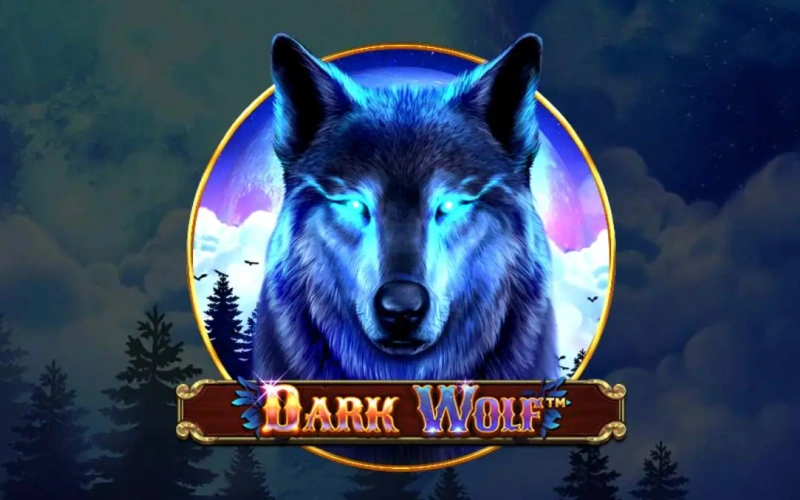 Play and enjoy with amazing features and unique bonus games in Dark Wolf game at PariPulse.
