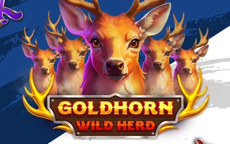 Enjoy an epic experience from the very first spin in Goldhorn Wild Herd at PariPulse.