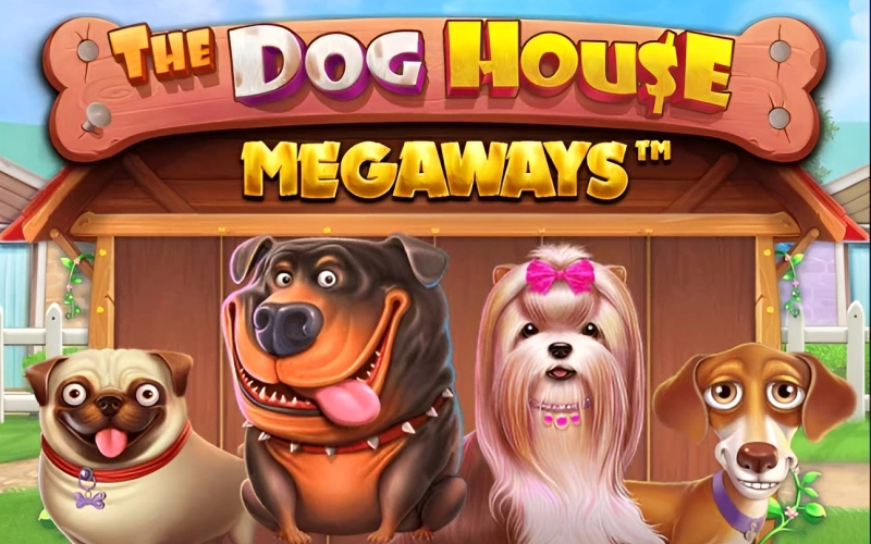 Get into a chaotic kennel of wild wins, sticky multipliers, and tail-wagging bonus rounds in The Dog House Megaways at PariPulse.